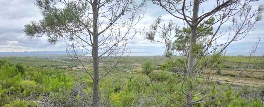 0 Bedroom Property for Sale in Franskraal Western Cape